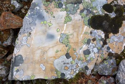 High angle view of rocks in water