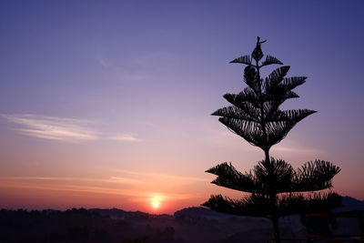 Silhouette bird on tree against sky during sunset