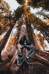 Man relaxing in tree