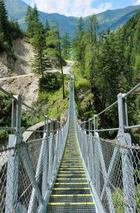 Suspension bridge between the trees in the alps mountains in kals am grossglockner in austria