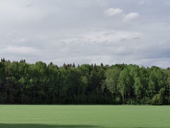 Scenic view of trees growing on field against sky