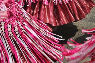 Close up of pink petals