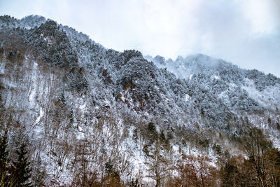 Low angle view of icicles on mountain against sky