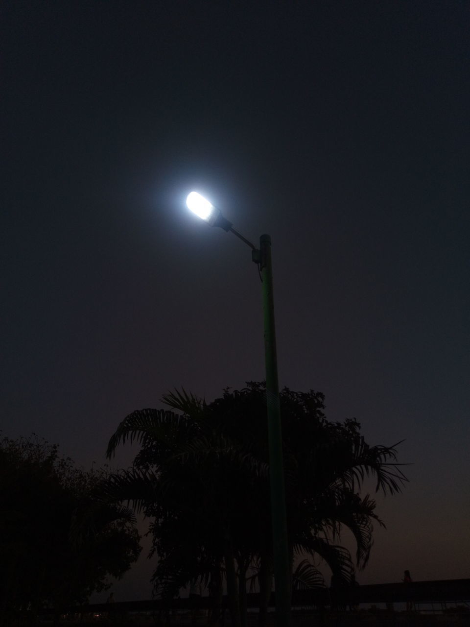 night, moon, street light, sky, tree, darkness, moonlight, palm tree, plant, nature, no people, illuminated, light, lighting, full moon, silhouette, dusk, lighting equipment, low angle view, tropical climate, outdoors, dark, street, beauty in nature, tranquility, evening, astronomical object, copy space