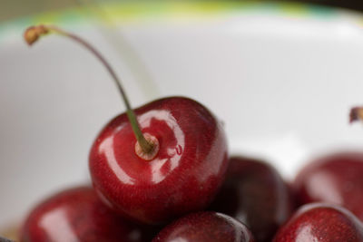 Close-up of cherries in bowl