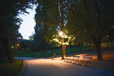 Footpath in park