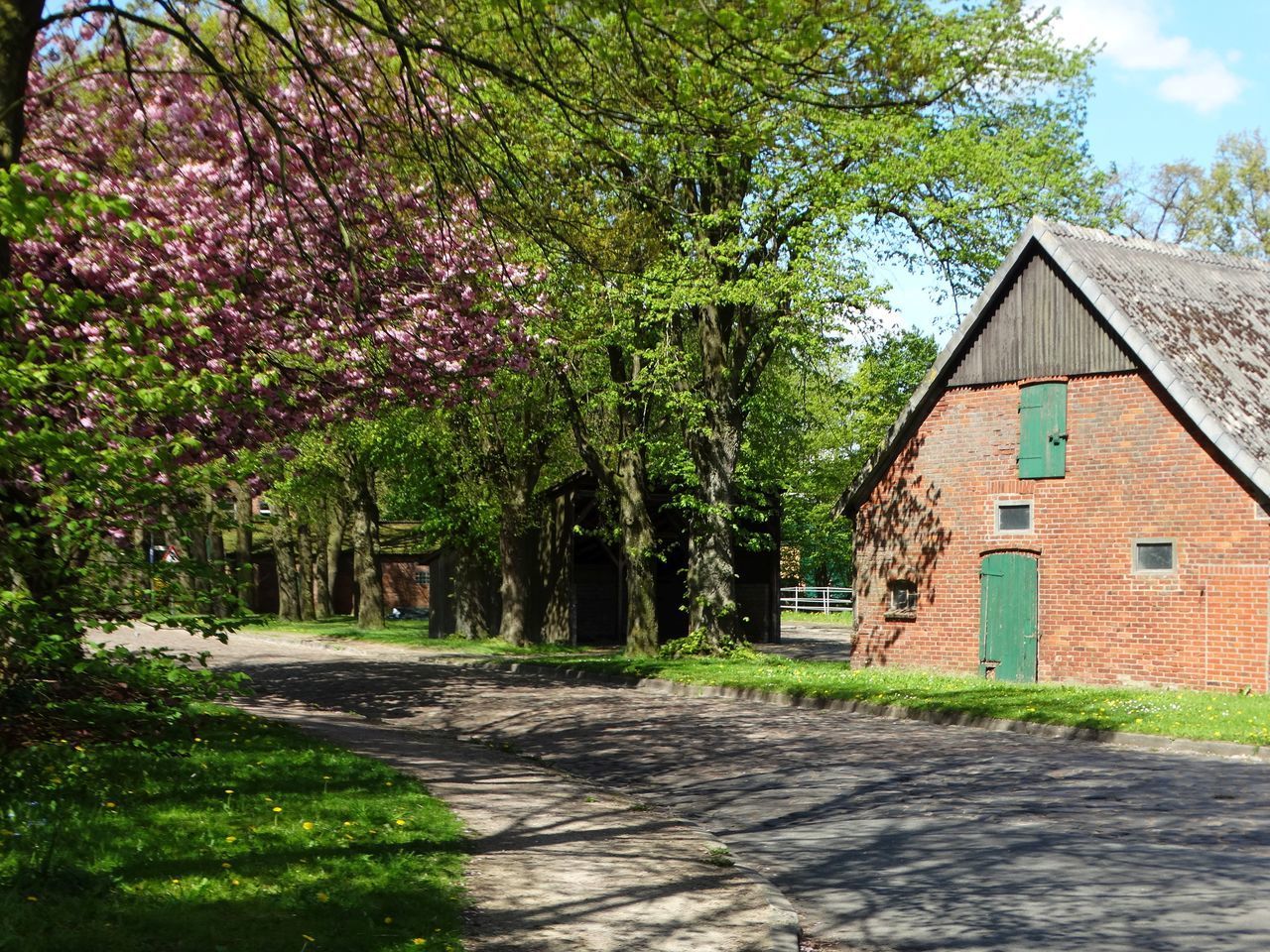 ROAD AMIDST TREES AND BUILDINGS AGAINST SKY