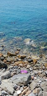 High angle view of rocks on beach