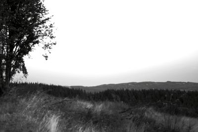 Scenic view of landscape against clear sky