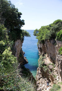 High angle view of sea and trees against sky