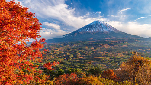 Japanese maple trees and mt. fuji visible from the second floor of the koyodai observatory terrace.