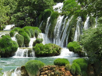 Scenic view of waterfall in forest