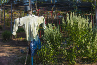 Rear view of a man standing by tree