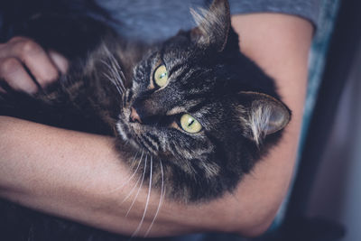 Close-up of woman with cat