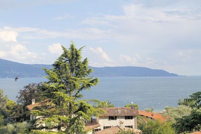 High angle view of tree by sea against sky