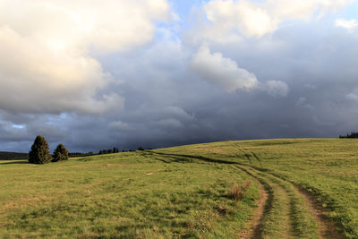 Tire track on grass field against sky