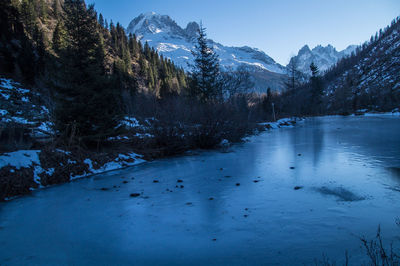 Frozen river in forest