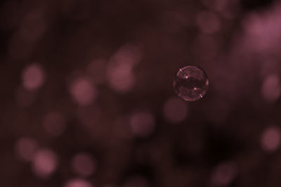 Close-up of water drops on leaf