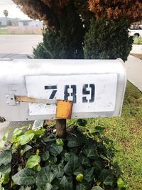 Close-up of information sign on road amidst plants