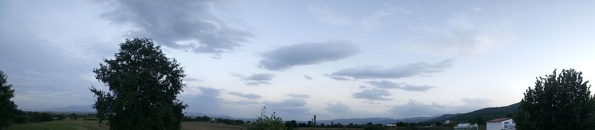 Panoramic view of trees against sky