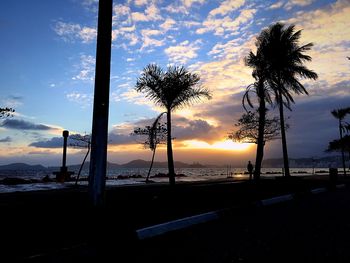 Silhouette of palm trees at sunset