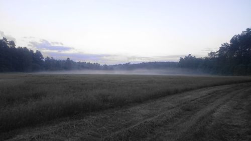 Scenic view of field against sky