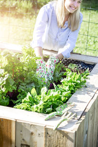 Woman gardening in wooden container at backyard during sunny day