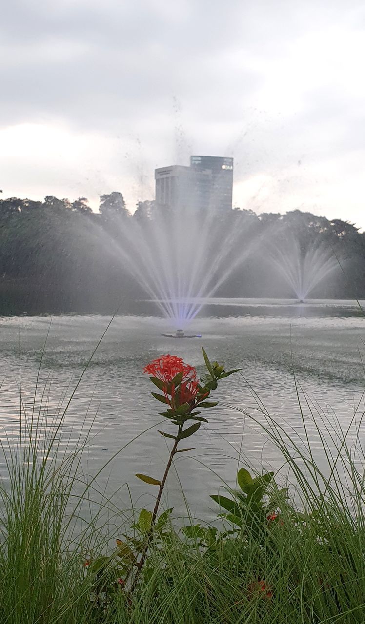 SCENIC VIEW OF LAKE AND PLANTS AGAINST SKY