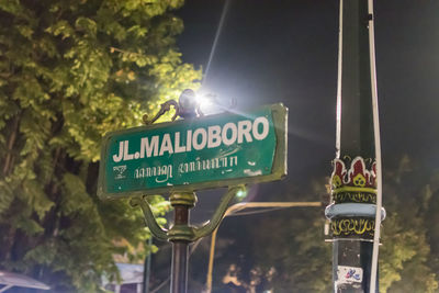 Close-up of road sign against trees at night