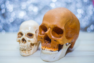 Close-up of human skulls on white table