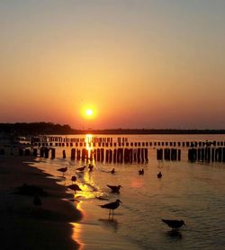 Scenic view of sunset over sea