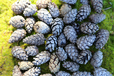 Full frame shot of stones