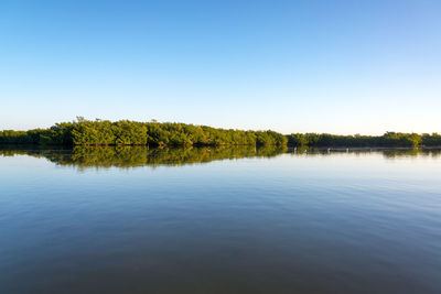 Scenic view of lake against clear blue sky