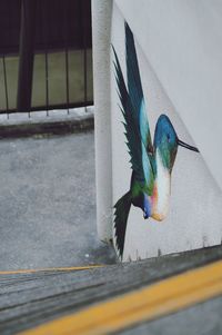 Close-up of bird perching outdoors