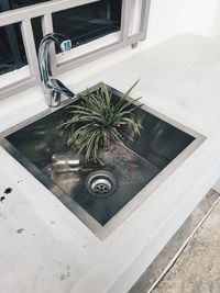 High angle view of potted plant
