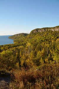 Scenic view of sea against clear sky