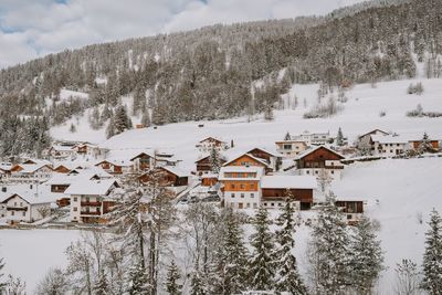 Houses on snow covered trees by buildings in city