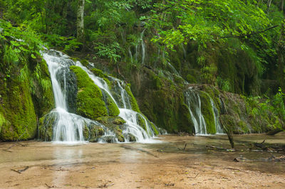Scenic view of waterfall in forest