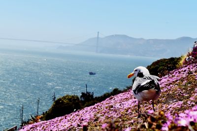 Scenic view of sea by mountain against sky