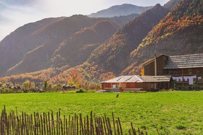 Scenic view of field against mountain