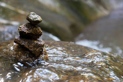 Close-up of stones on rock in river