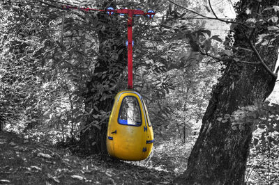Close-up of yellow toy hanging on tree trunk