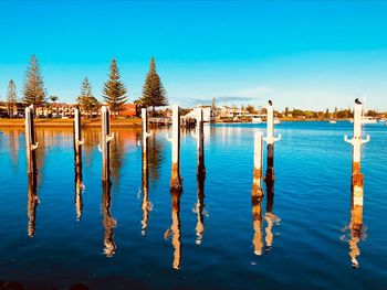 Wooden posts in lake against sky