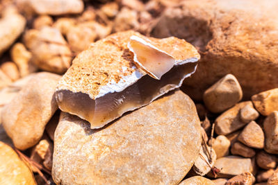 High angle view of bread on rock