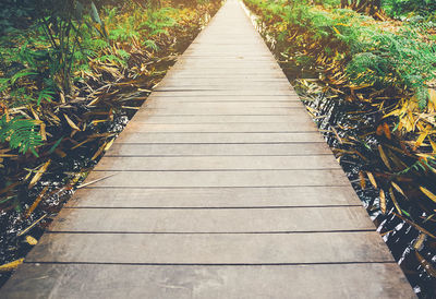 High angle view of footpath amidst plants on field