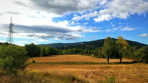 Trees on field against sky