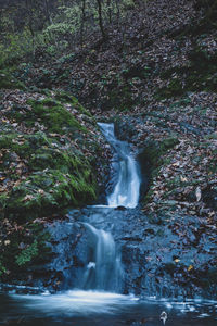 Waterfall in forest