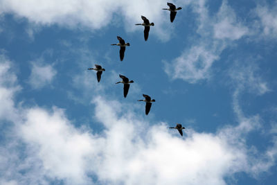 Low angle view of airplane flying against cloudy sky