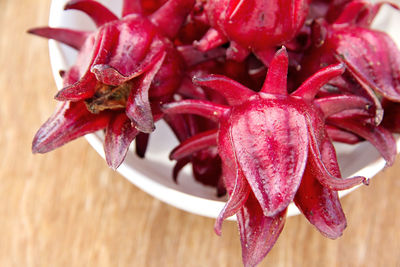 Close-up of red flowers