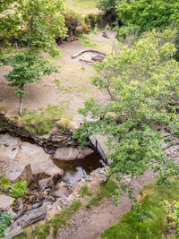 High angle view of stream amidst trees in forest